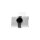 Pixel Watch LTE
