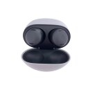 Pixel Buds Pro Charcoal GA03201-DE