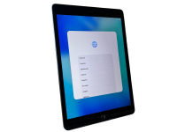 Apple IPad 9. Gen 10.2" Wi-Fi  Space Gray 256 GB -...