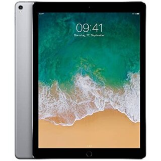 Apple iPad Pro 10,5&quot; 1. Generation 2017 Wi-Fi 64GB Spacegrau A1701