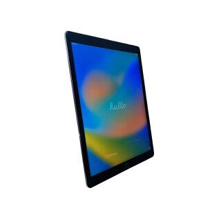 Apple iPad Pro 1.Gen 12.9 Zoll 128 GB Space Grau A1652 2015